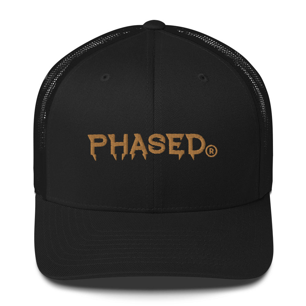 Phased Flat Embroidered Mesh Back Cap